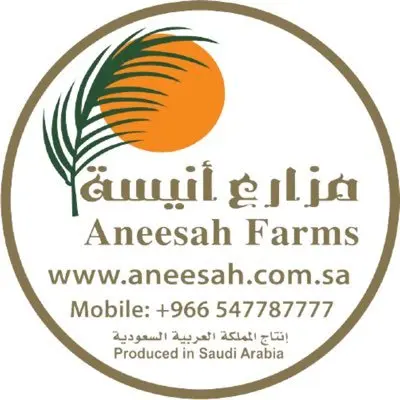 الشعار الرسمي للتكنولوجيا المالية الحديثة (MFT).