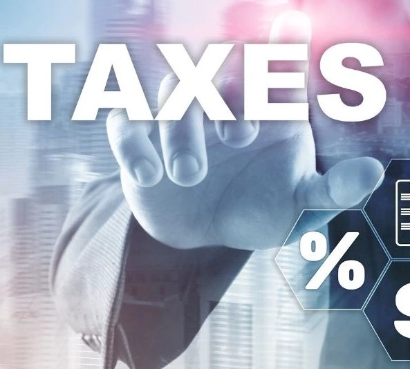 Financial analysis and performance evaluation services