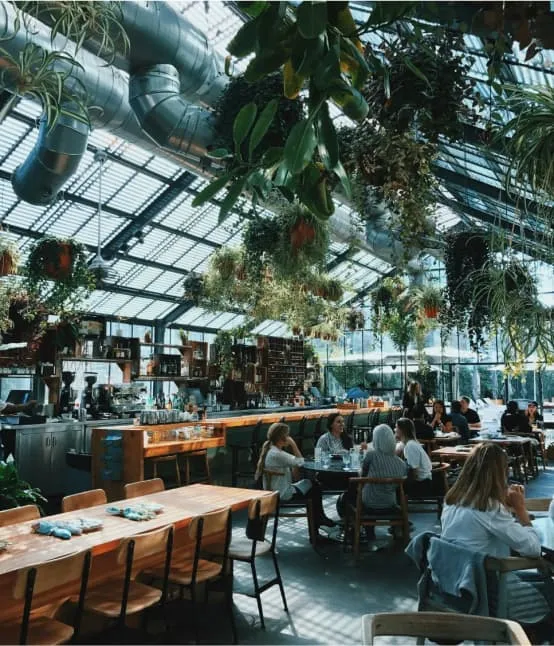 خدمات التدقيق الخارجي بواسطة شركة التكنولوجيا المالية الحديثة (MFT).